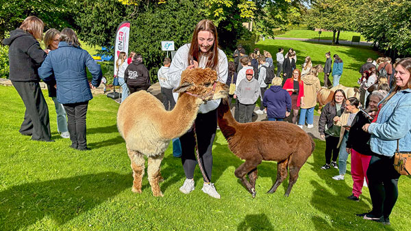 Blog about the work going on behind the scenes related to our events