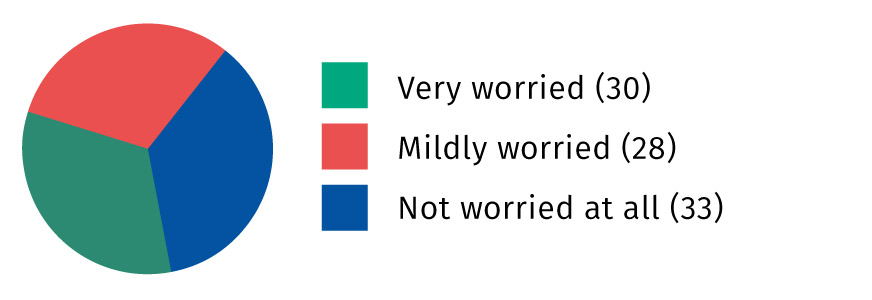 Very worried 30, Mildly worried 28, Not at all worried 33